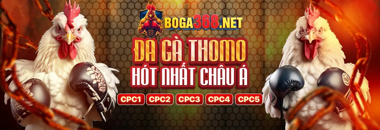 Chính sách cá cược an toàn và có trách nhiệm của c54
