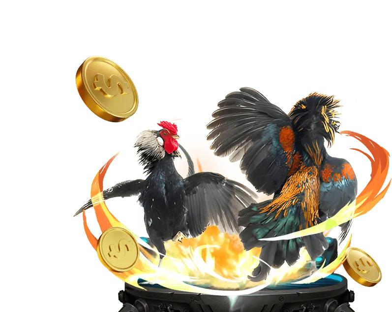 Cá cược quần vợt tại c54 nhà cái